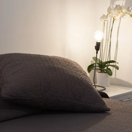 招待所 B模式酒店 4*