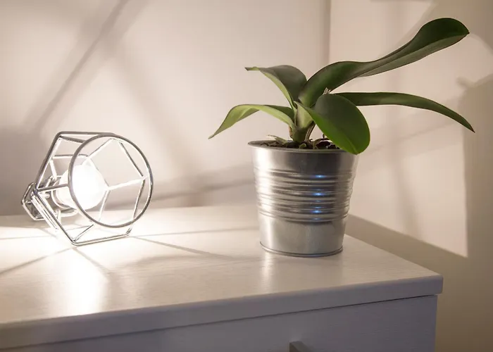 招待所 B模式酒店 卡塔尼亚