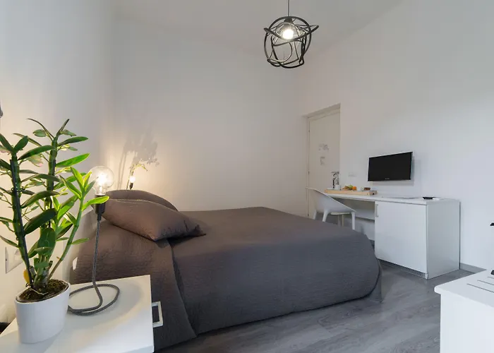 招待所 B模式酒店 卡塔尼亚