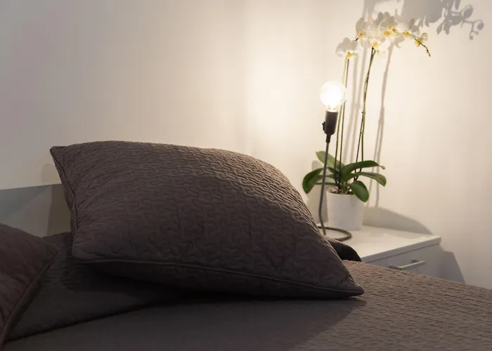 招待所 B模式酒店 4*