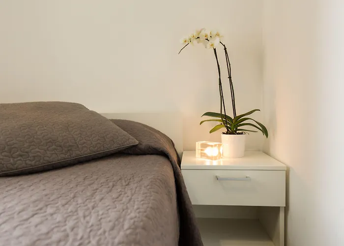 招待所 B模式酒店 4*